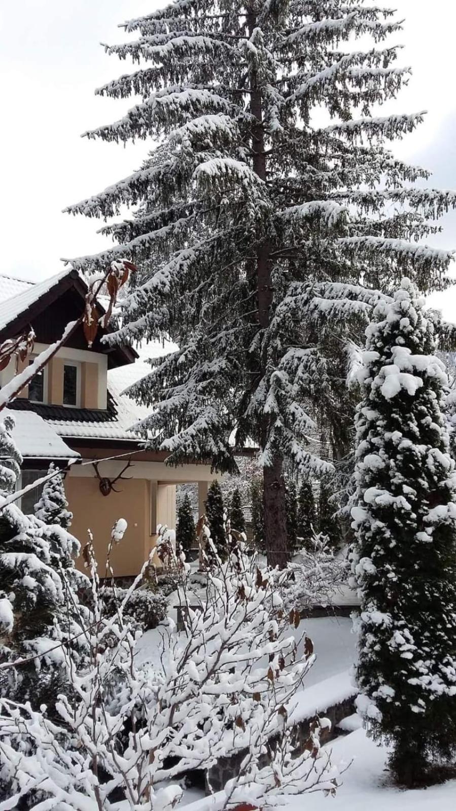 Pensiunea Colina Poiana Brasov Esterno foto