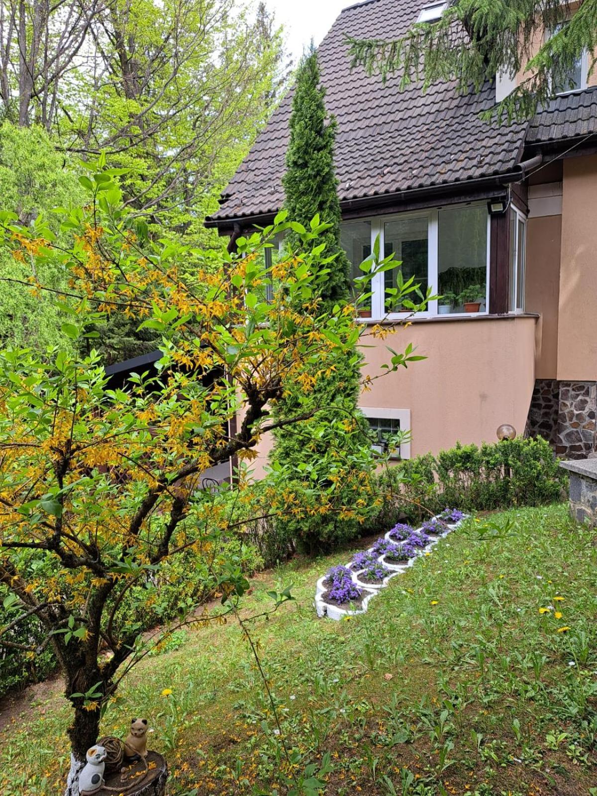 Pensiunea Colina Poiana Brasov Esterno foto