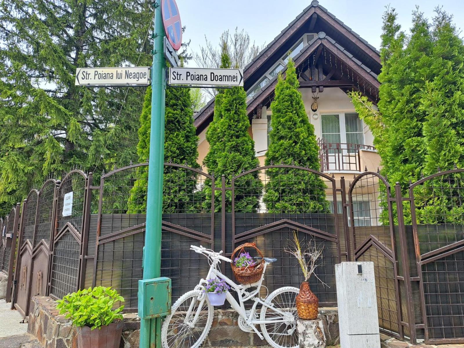 Pensiunea Colina Poiana Brasov Esterno foto