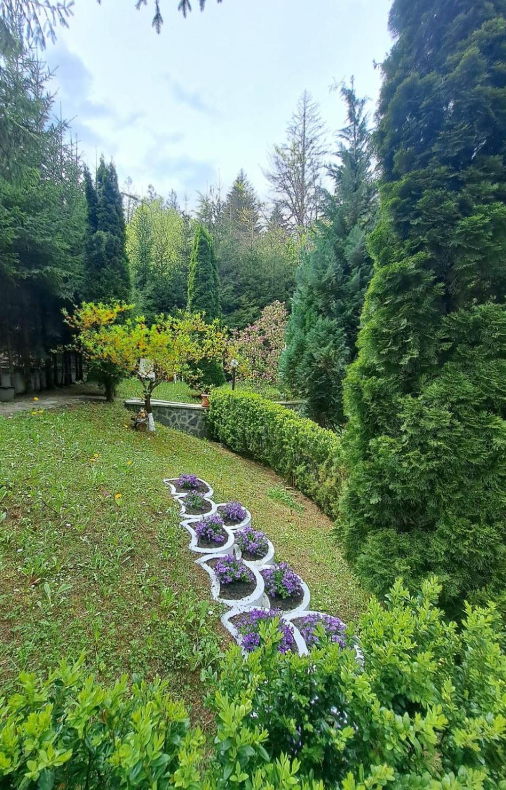 Pensiunea Colina Poiana Brasov Esterno foto