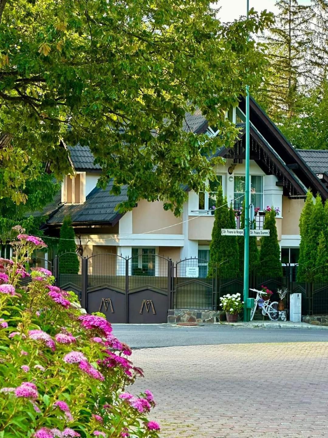 Pensiunea Colina Poiana Brasov Esterno foto