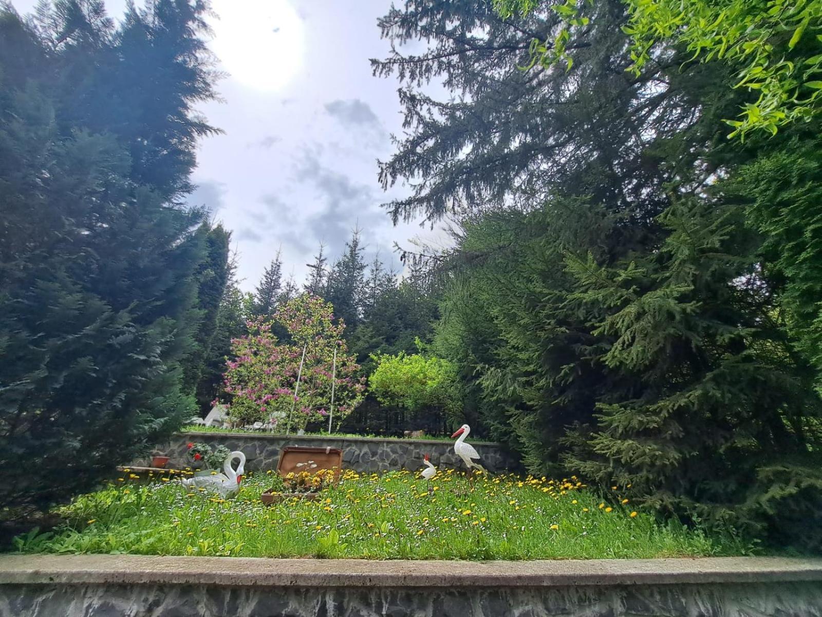 Pensiunea Colina Poiana Brasov Esterno foto