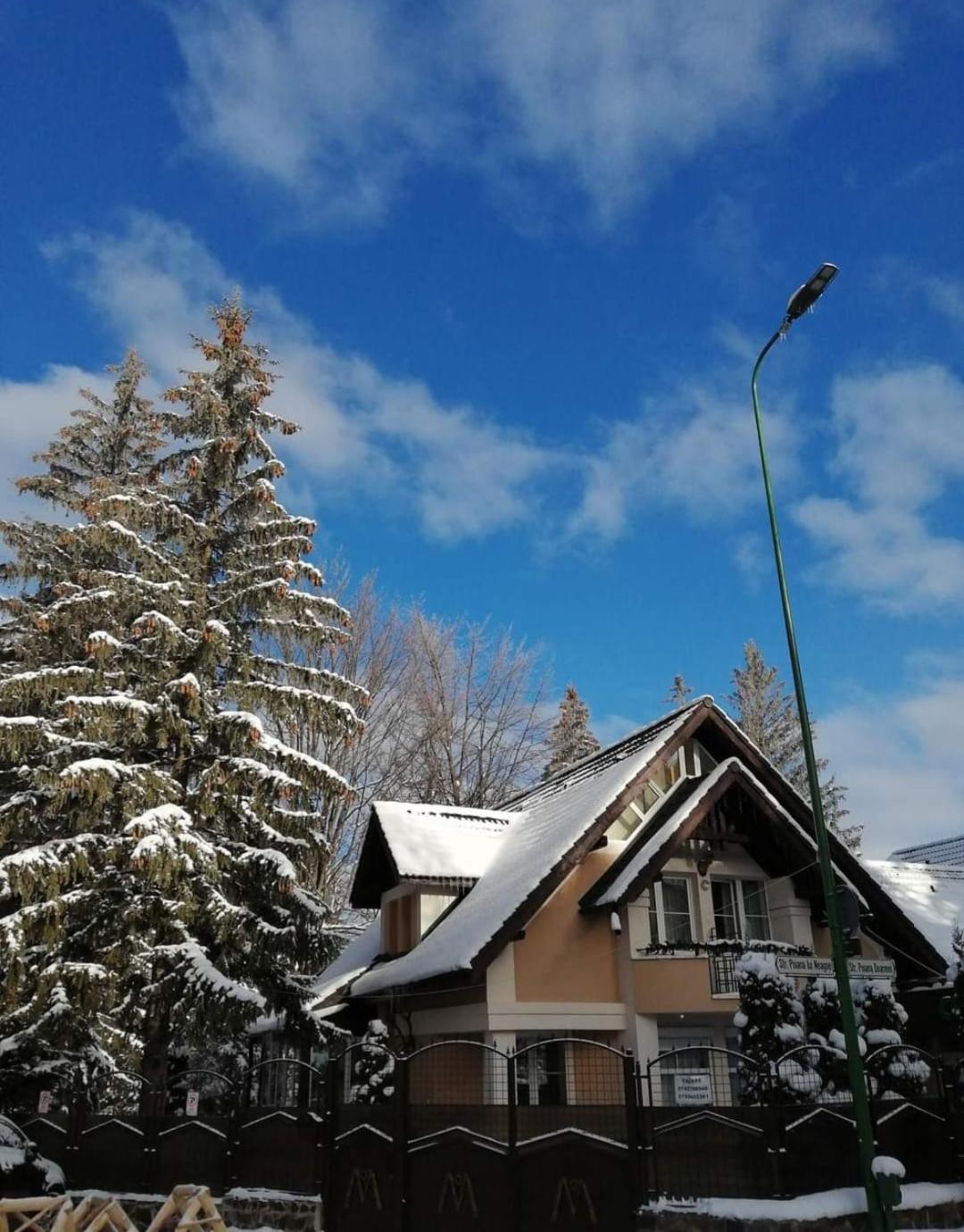 Pensiunea Colina Poiana Brasov Esterno foto