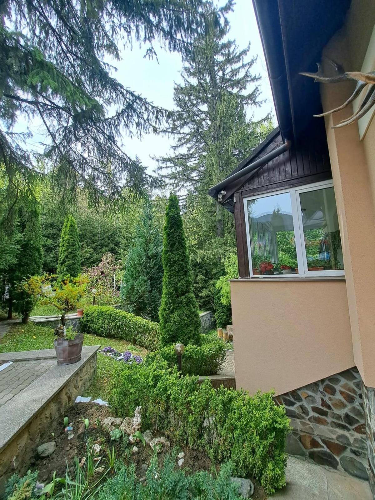 Pensiunea Colina Poiana Brasov Esterno foto