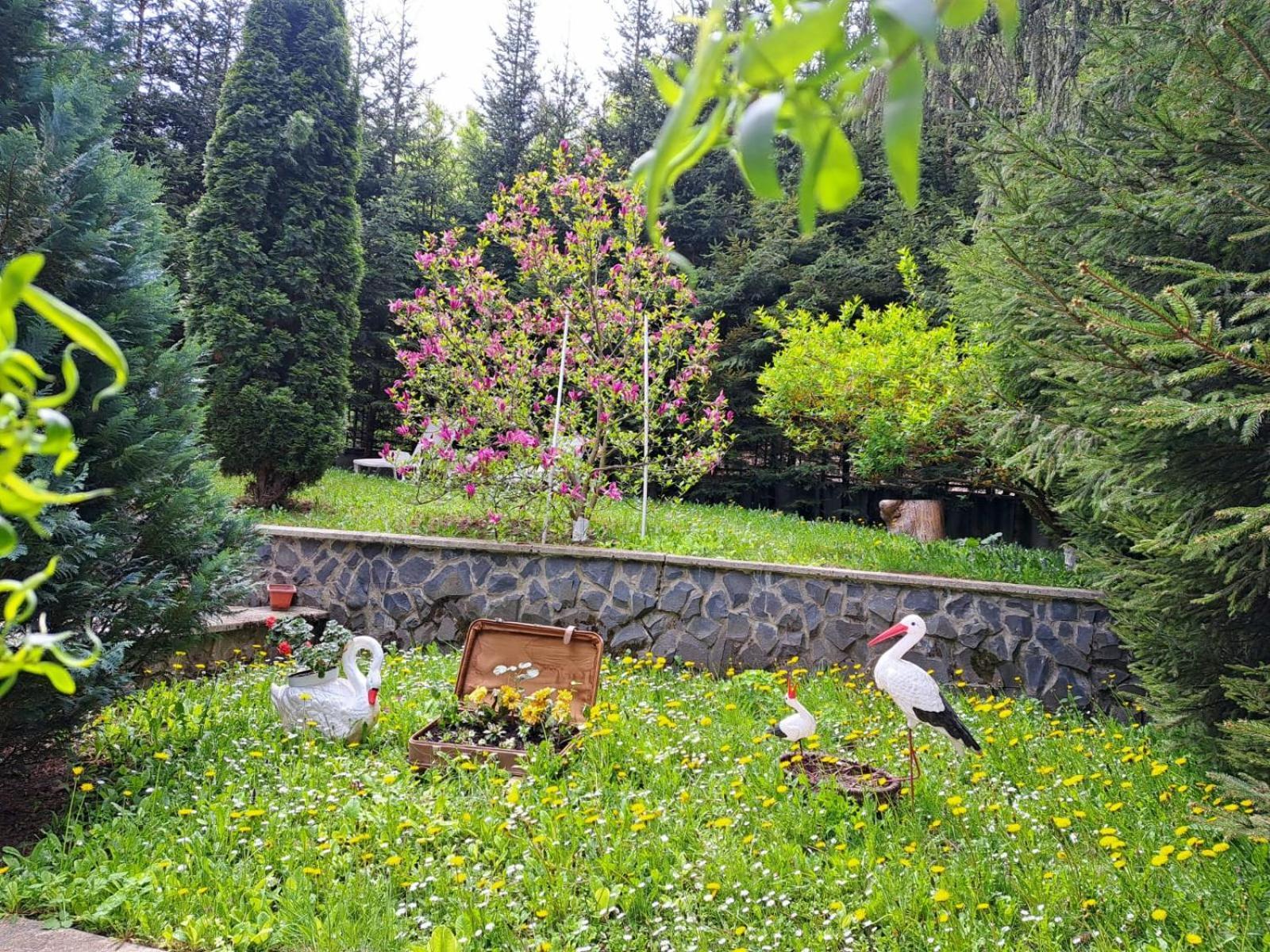 Pensiunea Colina Poiana Brasov Esterno foto
