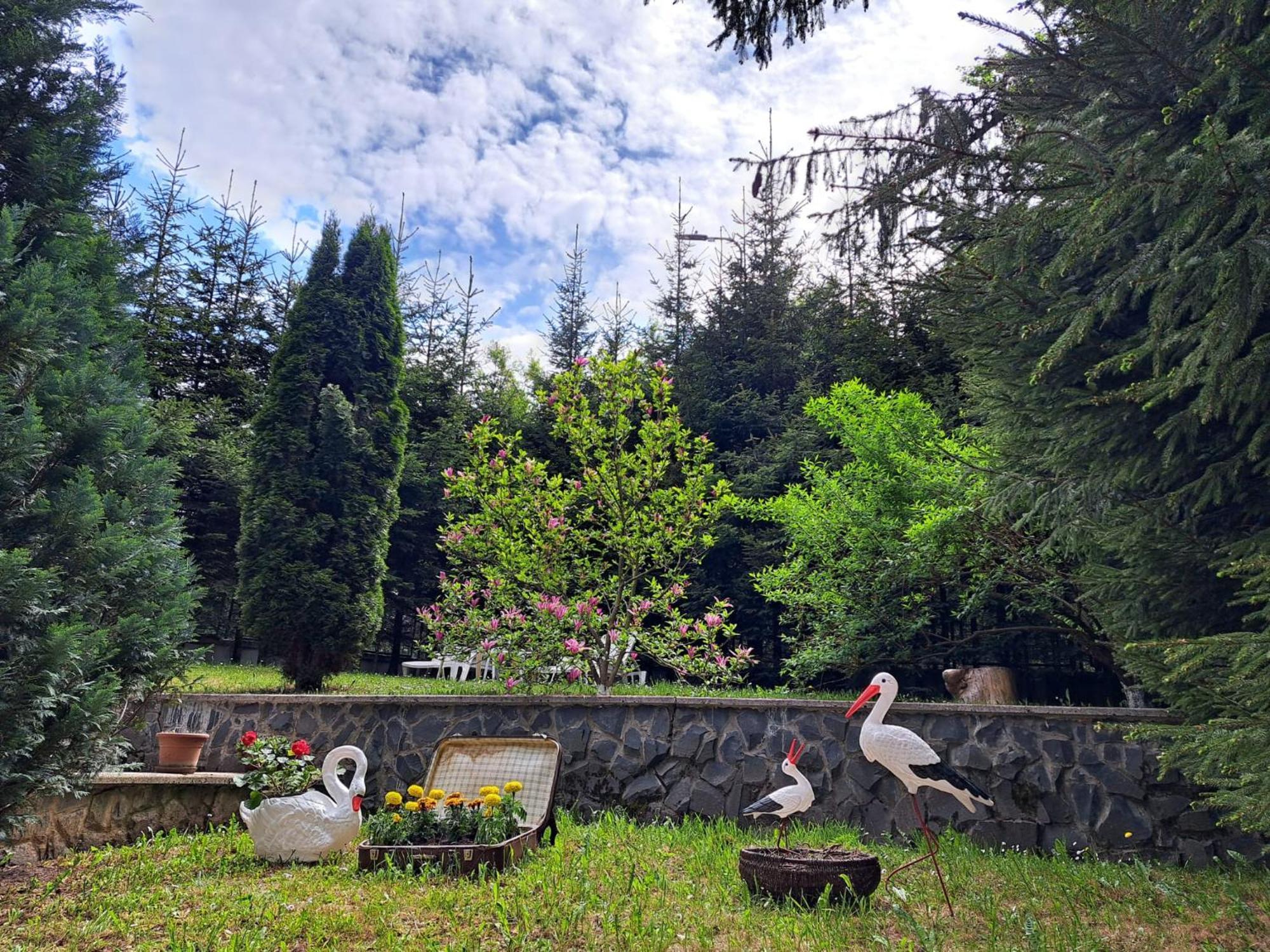 Pensiunea Colina Poiana Brasov Esterno foto