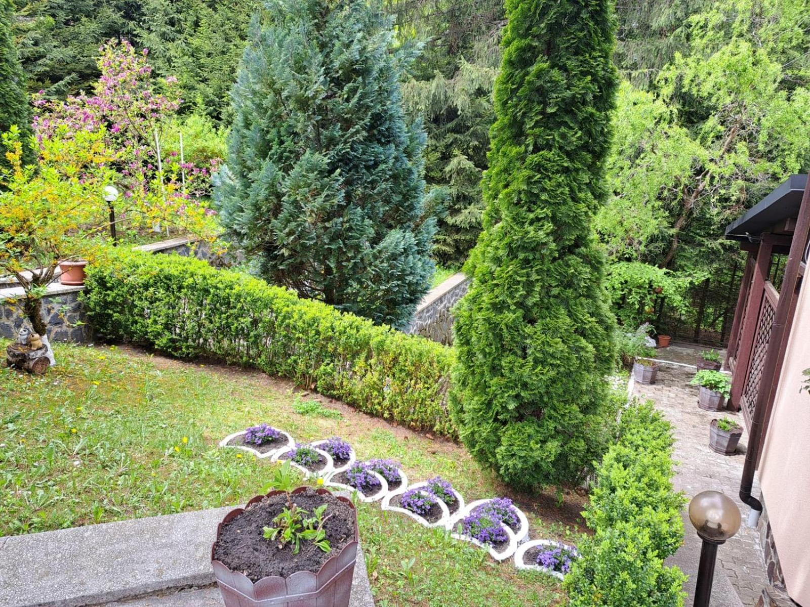 Pensiunea Colina Poiana Brasov Esterno foto