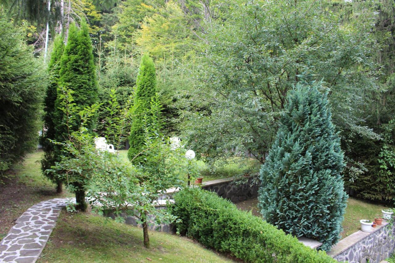 Pensiunea Colina Poiana Brasov Esterno foto