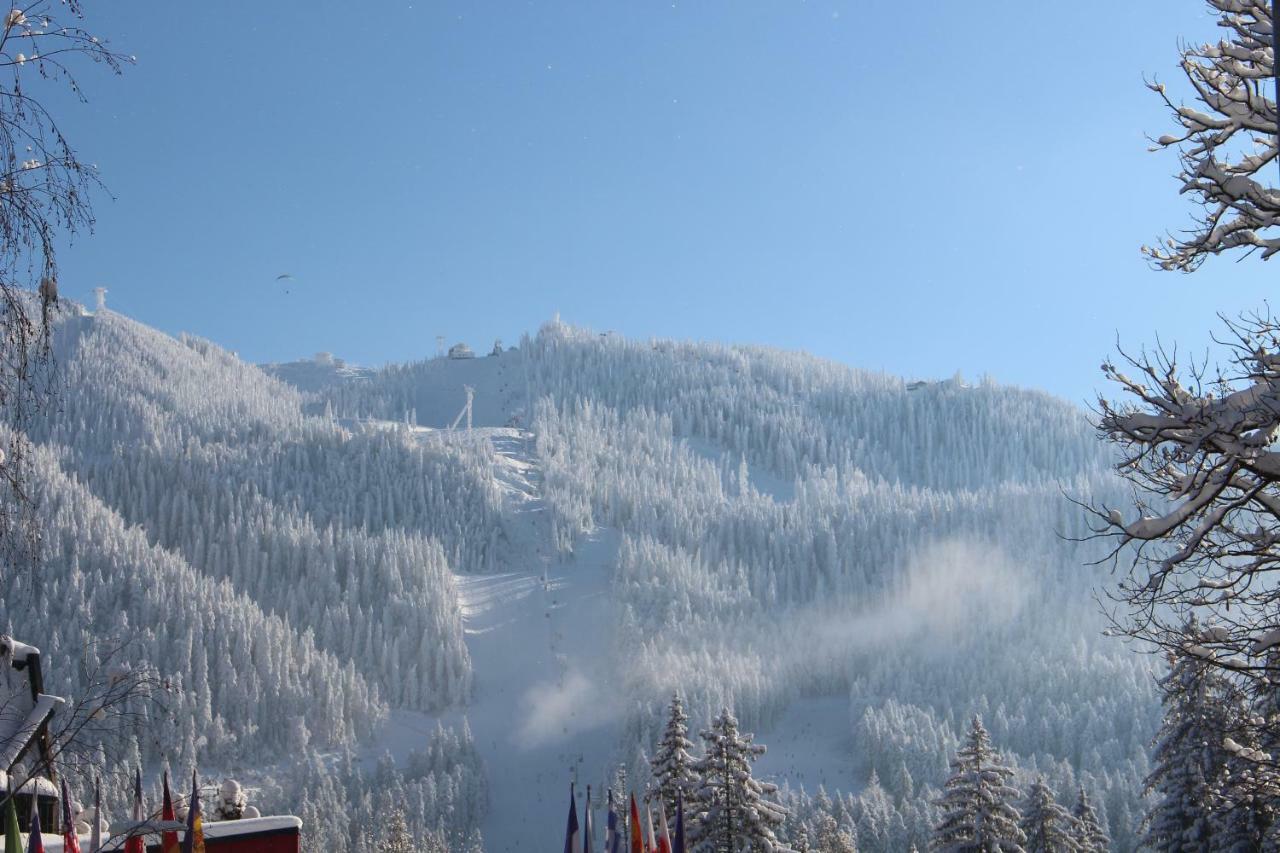 Pensiunea Colina Poiana Brasov Esterno foto